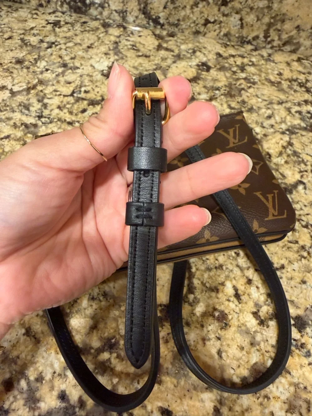 LOUIS VUITTON DOUBLE ZIP POCHETTE GIANT REVERSE MONOGRAM - Picture 9 of 14